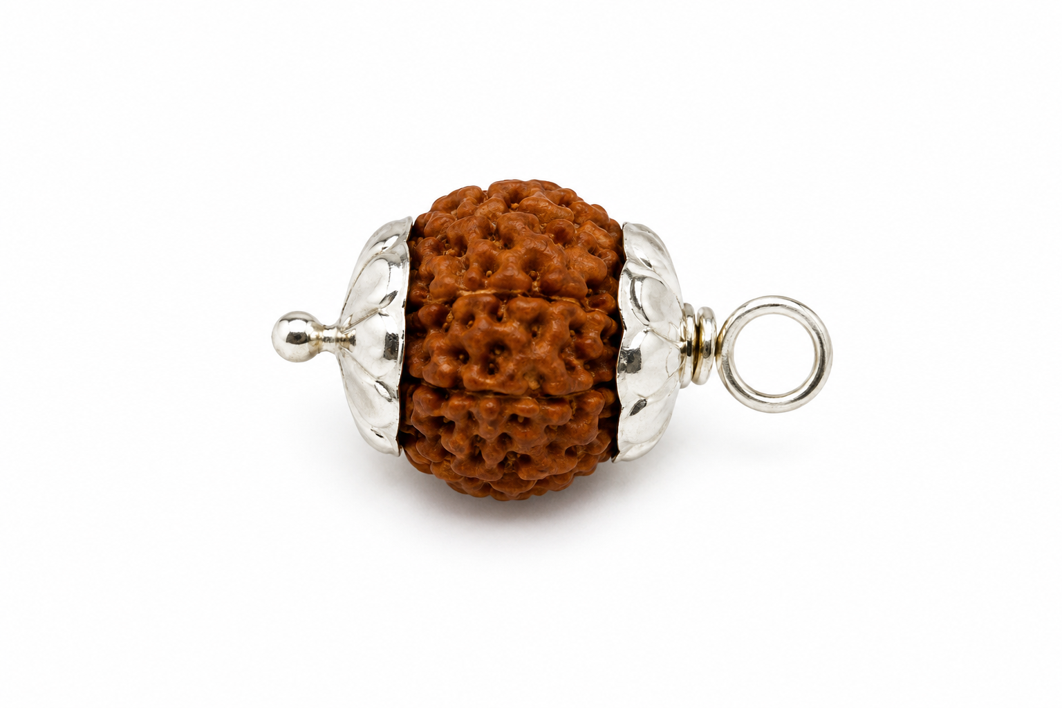 10 Mukhi Rudraksha