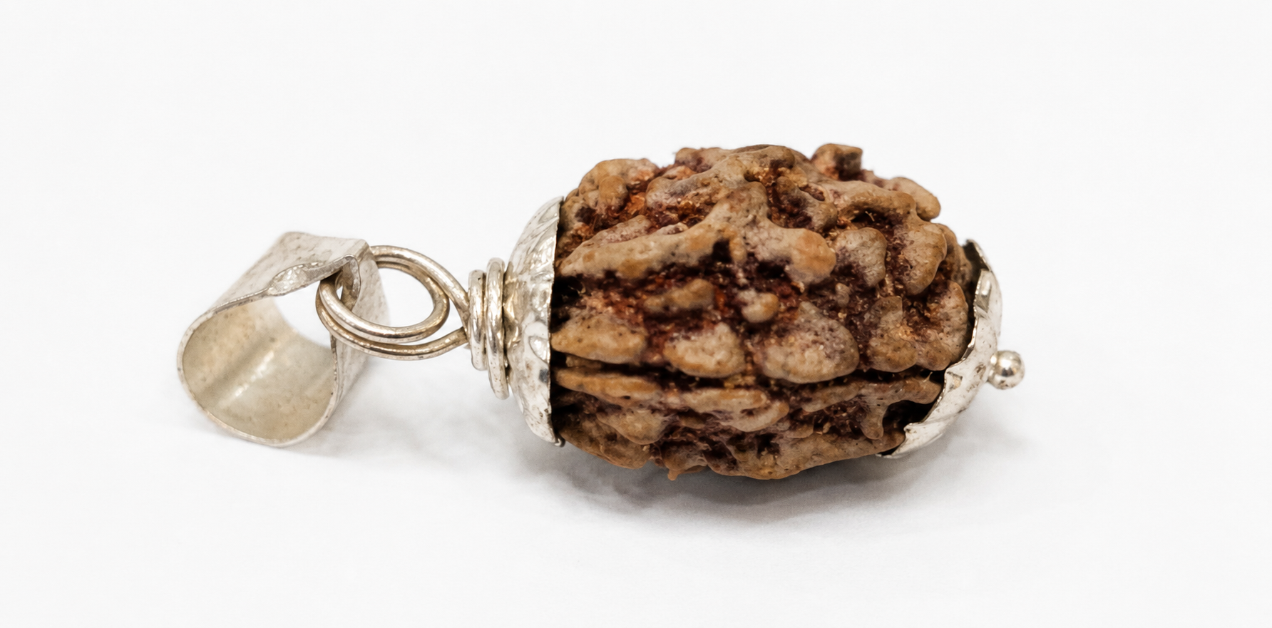 3 Mukhi Rudraksha