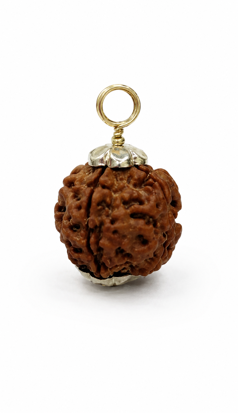 4 Mukhi Rudraksha