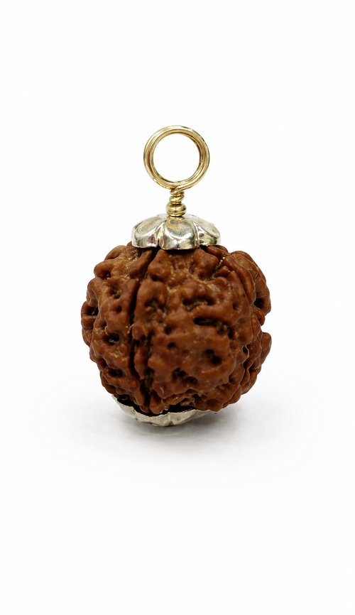 4 Mukhi Rudraksha
