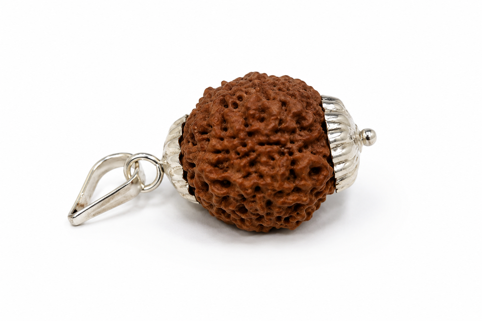 5 Mukhi Rudraksha