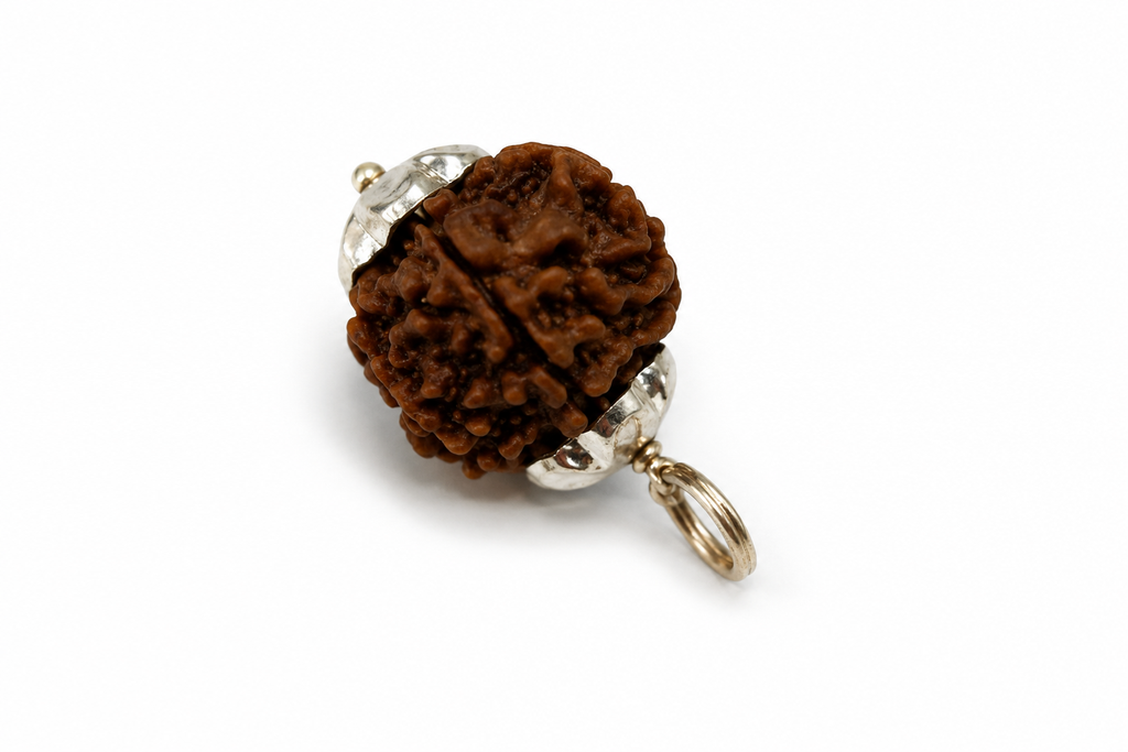 6 Mukhi Rudraksha