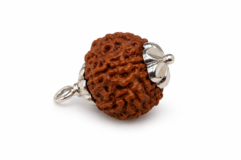 9 Mukhi Rudraksha