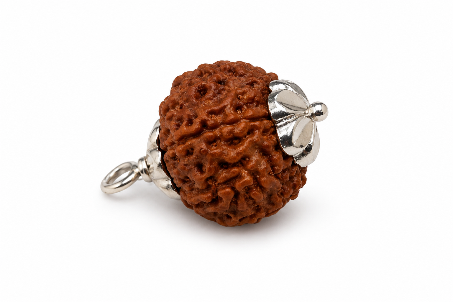 9 Mukhi Rudraksha