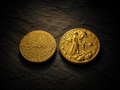 Aquarius (Kumbha Rashi) Gold Plated Zodiac Coin – Rashi Sikka for Tijori, Purse &amp; Puja | Energized &amp; Siddh
